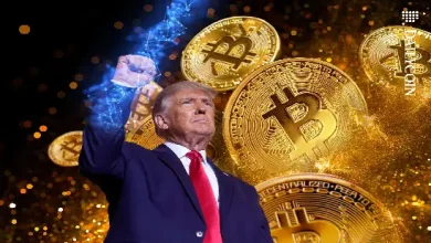 bitcoin and crypto prices affected by us election, graph showing fluctuations