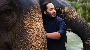 Anant Ambani's 'Vantara' extends a helping hand to save Namibia's wild animals