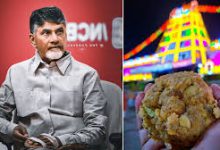 Tirupati Ladu Controversy: Why did you go to the press if you were not sure? Leave God alone, SC's CM hits out at Naidu