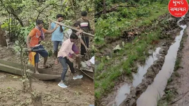 May God not show anyone such a day... gadchiroli Parents had to walk 15 km with dead bodies of their children