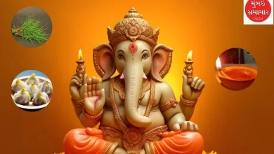 Read these details carefully before bringing Bappa home tomorrow