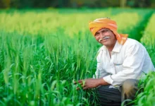 gujarat ikhedut portal, farmer registration, agriculture schemes