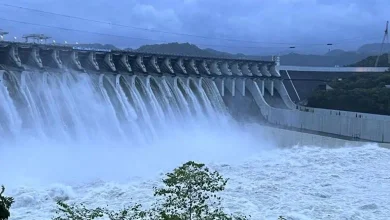 Water inflow in Gujarat's reservoirs, know what is the water level in which dam.
