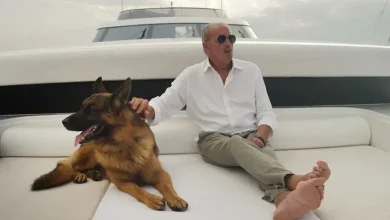 world's richest dog Gunther VI owns a private jet and yacht