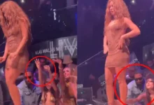 shakira, concert, stage walk-off, privacy concerns