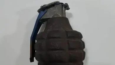 After drugs in Kutch, hand grenades- Grenades found in Kandla SEZ