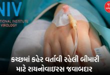 Pune's laboratory claims that rhinovirus is responsible for the ravaging disease in Kutch...