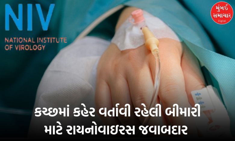 Pune's laboratory claims that rhinovirus is responsible for the ravaging disease in Kutch...