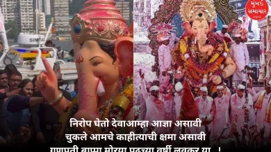 Viral Video: Who held hands to dissolve Lalbaugh Cha Raja? You can also see...