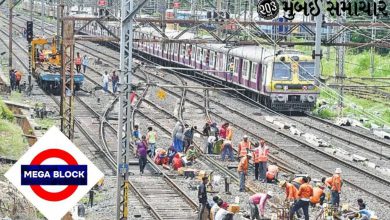 Block In Harbour And Central Line On Sunday In Mumbai