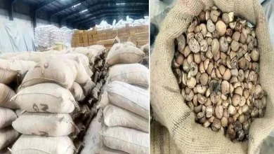 Mundra Customs seized three crore worth of betel nuts from Dubai in the name of plastic grains