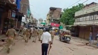 Cow smuggling cases rise in Panchmahal, residents demand action