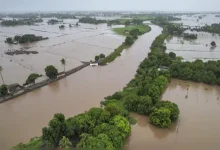 Central government team reached Gujarat to assess rain damage in Gujarat