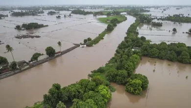 Central government team reached Gujarat to assess rain damage in Gujarat