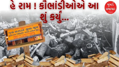 Allegation of corruption in cremation wood in Rajkot