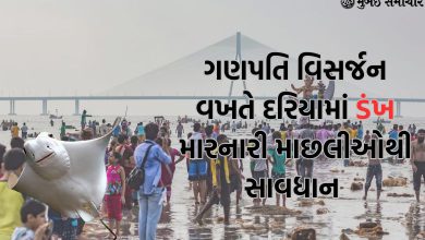 If you are going to go to the beach during Ganesh Visharan, be careful!