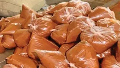 700 kg of adulterated chilli seized from Vadodara, team went for mouth check