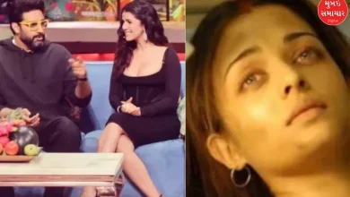 Nimrat Kaur gave clarification on affair with Abhishek Bachchan, after clarification...