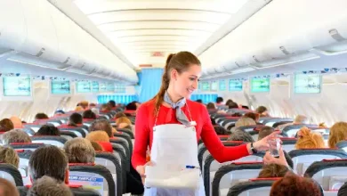 Air lines passengers demand shares by air hostess