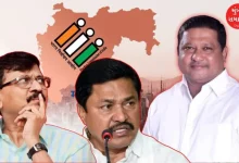 BJP MLAs open challenge to Raut-Patole