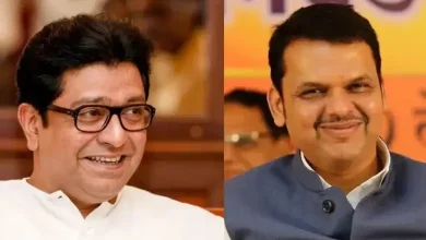 CM Fadnavis' meeting with Raj Thackeray creates discussion in political circles