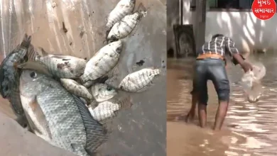 In Bengaluru, people started fishing as fishes came in rain water, watch video