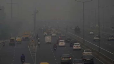 pollution in Delhi Very Poor burning of wood and coal banned