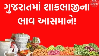 Diwali pulls the prices of vegetables in the sky in Gujarat!