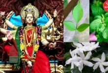 Don't offer these flowers to Goddess Mother during Navratri, otherwise...