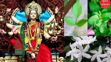 Don't offer these flowers to Goddess Mother during Navratri, otherwise...