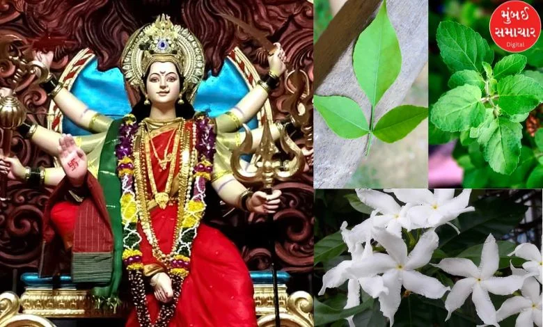 Don't offer these flowers to Goddess Mother during Navratri, otherwise...