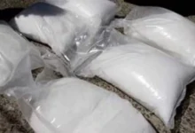 Drugs worth Rs 25 crore seized from Umargam GIDC