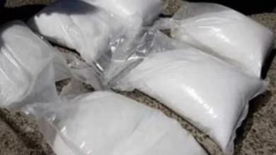 Drugs worth Rs 25 crore seized from Umargam GIDC