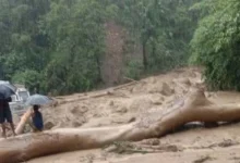 Floods due to heavy rains in Meghalaya: 10 dead in 24 hours