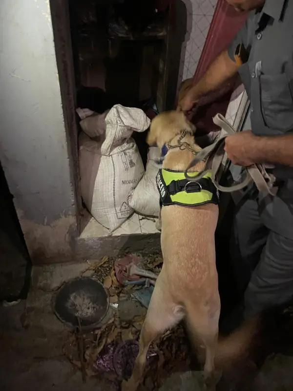 Gujarat police trained Alcohol detection dog