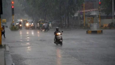 Rain in 69 talukas in last 24 hours in Gujarat, one death in Porbandar