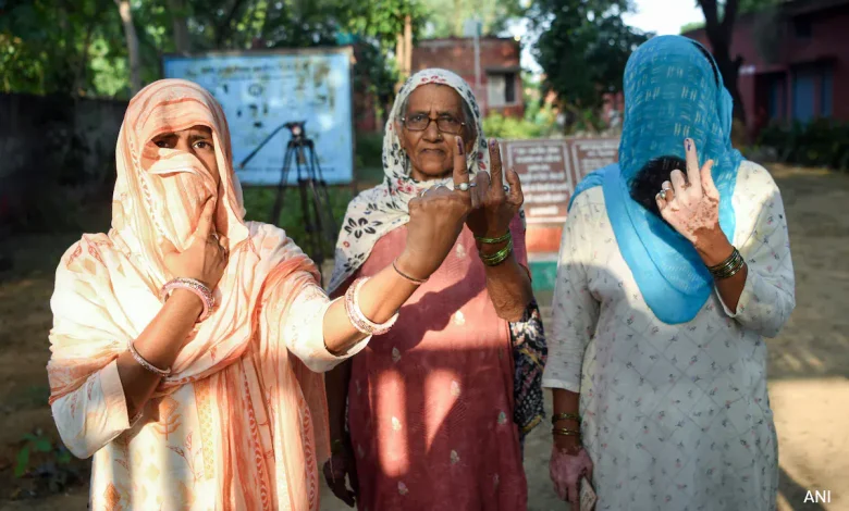  Average elector  turnout successful  Haryana assembly predetermination  65 percent, results connected  8 October