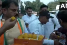 Haryana Election Result: Victory jalebi started selling in Congress office; I will also send it to the Prime Minister