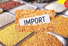 Imports to increase to control dal prices in the country, 73 percent increase in dal imports in six months