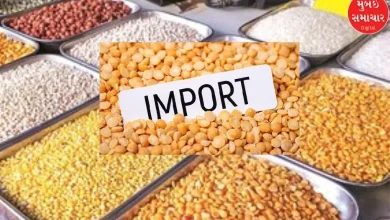 Imports to increase to control dal prices in the country, 73 percent increase in dal imports in six months