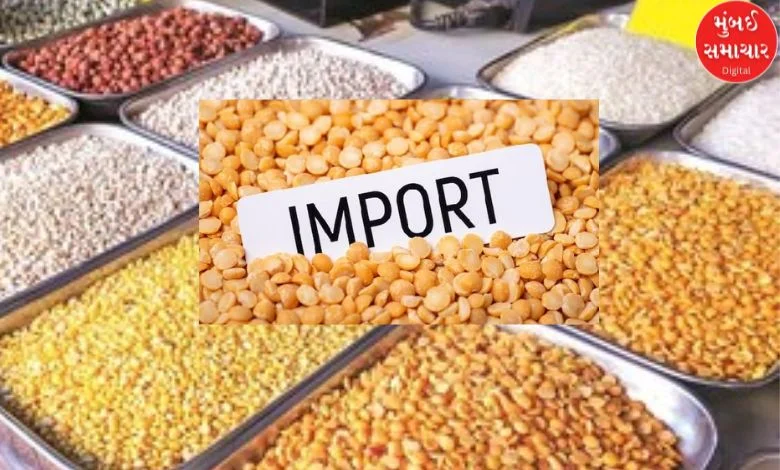 Imports to increase to control dal prices in the country, 73 percent increase in dal imports in six months