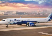 Indigo Airline's system malfunctioned, leaving passengers stranded in long queues at the airport