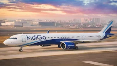 Indigo Airline's system malfunctioned, leaving passengers stranded in long queues at the airport