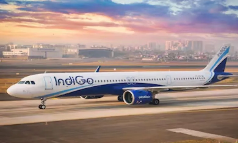 Indigo Airline's system malfunctioned, leaving passengers stranded in long queues at the airport