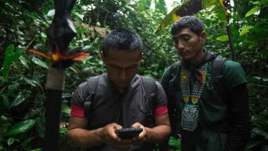 Internet's impact in the Amazon jungle: Tribesmen are now stuck on their phones instead of hunting