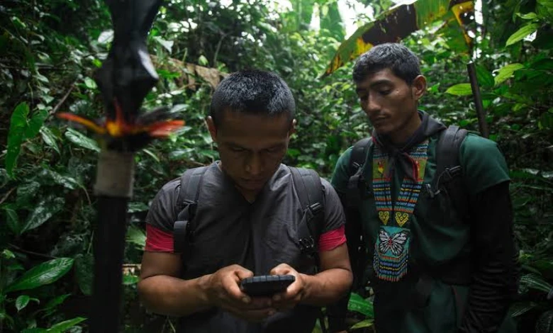 Internet's impact in the Amazon jungle: Tribesmen are now stuck on their phones instead of hunting