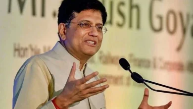 What mantra did Commerce and Industry Minister Goyal give to professionals in New York?