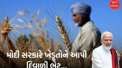 Modi cabinet decisions msp rabi crop