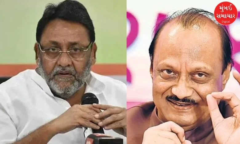 Jeopardy in unity of 'Mahayuti'?: Know Ajit Pawar's stand for Nawab Malik?