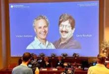 Nobel Prize 2024: Victor Ambrose and Gary Ruvkon awarded Nobel Prize for discovery of mRNA